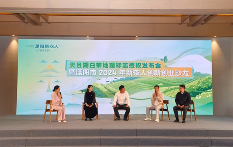 常州活动策划——让每一次聚会都如同置身仙境